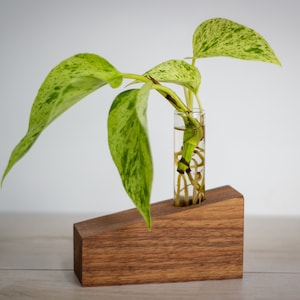 Solid Walnut Propagation Station Houses Wooden Plant Decor Plant Lover Gift Indoor Plants Tube Vase Plant Holder Slant House