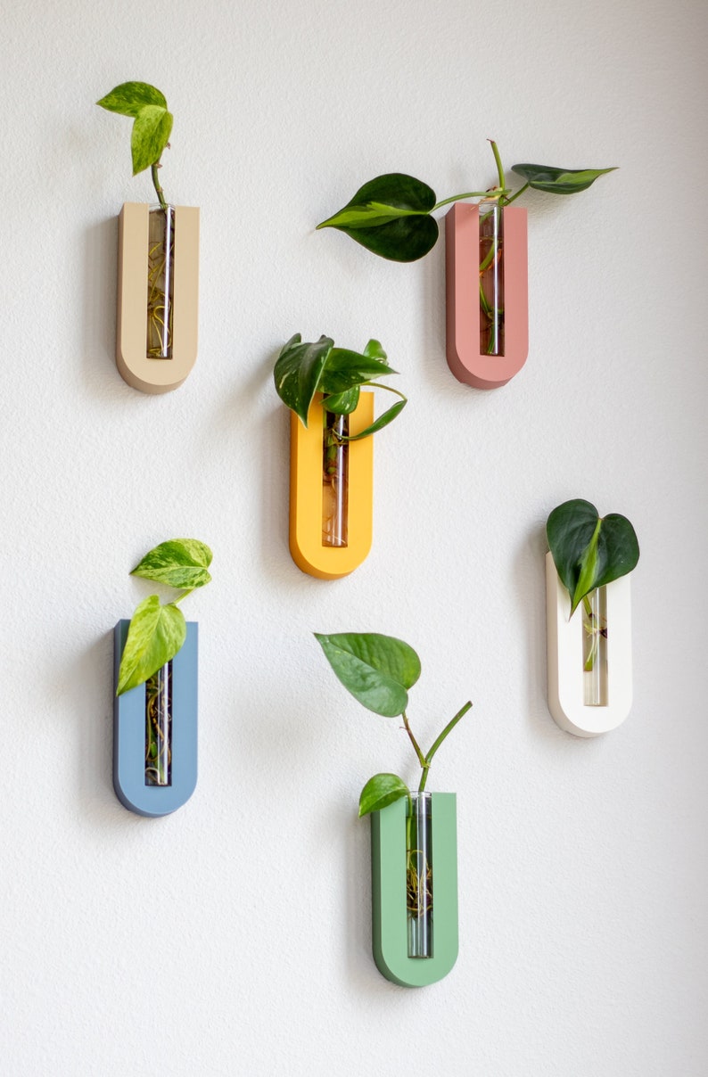 Puede incluir: Seis maceteros de pared de diferentes colores, cada uno con un tubo de vidrio transparente para sostener una planta. Los soportes tienen forma de U y est&aacute;n hechos de madera. Las plantas son todas verdes y frondosas.