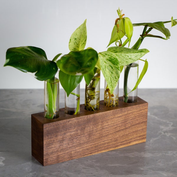 Solid Walnut Plant Propagation Station | Wooden Planter | Wedding Center Piece | Plant Lover Gift | Indoor Plant Stand
