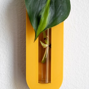 Puede incluir: Un macetero amarillo de pared con un tubo de vidrio transparente para sostener una planta. Una sola hoja verde con una franja verde claro est&aacute; en el tubo.