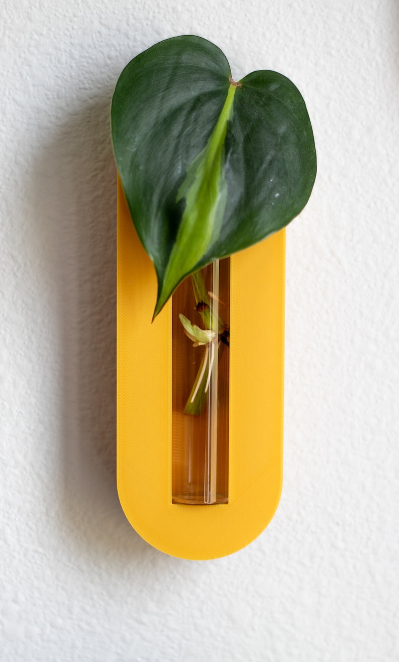 Puede incluir: Un macetero amarillo de pared con un tubo de vidrio transparente para sostener una planta. Una sola hoja verde con una franja verde claro est&aacute; en el tubo.