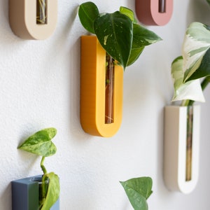 Puede incluir: Una pared con seis maceteros de pared de diferentes colores, cada uno con un tubo de vidrio para sostener una planta. Los maceteros son de color beige, amarillo, rosa, blanco, azul y verde. Las plantas son todas verdes y frondosas.