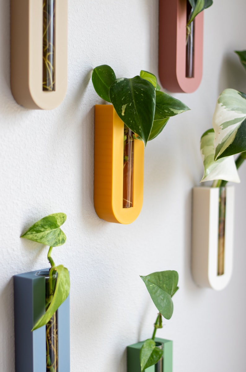 Puede incluir: Una pared con seis maceteros de pared de diferentes colores, cada uno con un tubo de vidrio para sostener una planta. Los maceteros son de color beige, amarillo, rosa, blanco, azul y verde. Las plantas son todas verdes y frondosas.