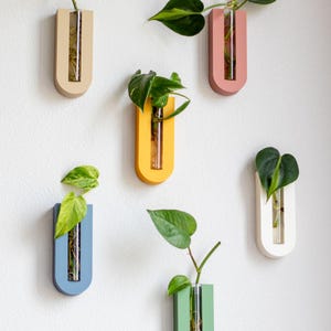Maceta de pared arqueada para propagación de plantas / Tubos de propagación / Propagación de plantas / Regalos para ella / Decoración de habitación bohemia imagen 1