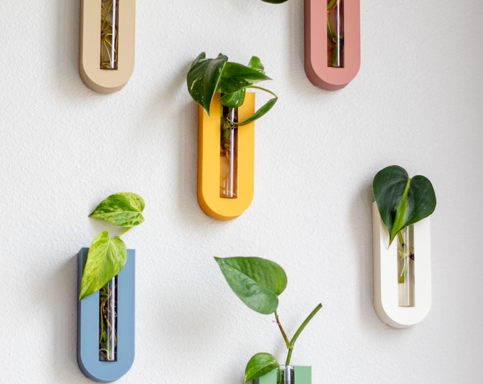 Arched Plant Propagation Wall Planter | Propagating Tubes | Plant Propagation | Gifts for Her | Boho Room Decor