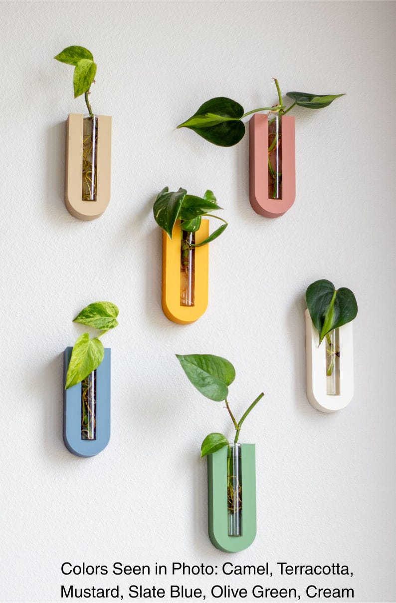 Maceta de pared arqueada para propagación de plantas / Tubos de propagación / Propagación de plantas / Regalos para ella / Decoración de habitación bohemia imagen 1