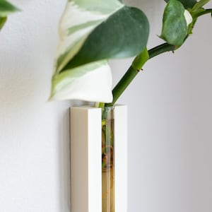 Puede incluir: Jarr&oacute;n de pared de cer&aacute;mica blanca con un tubo de vidrio transparente para contener una planta. El jarr&oacute;n tiene forma de U y tiene una parte superior e inferior redondeadas. Una planta verde con vetas blancas est&aacute; en el jarr&oacute;n.
