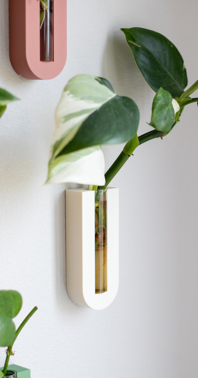 Puede incluir: Jarr&oacute;n de pared de cer&aacute;mica blanca con un tubo de vidrio transparente para contener una planta. El jarr&oacute;n tiene forma de U y tiene una parte superior e inferior redondeadas. Una planta verde con vetas blancas est&aacute; en el jarr&oacute;n.