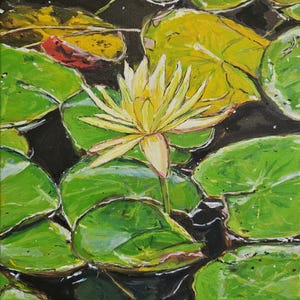 Water Lily in Bloom oil painting