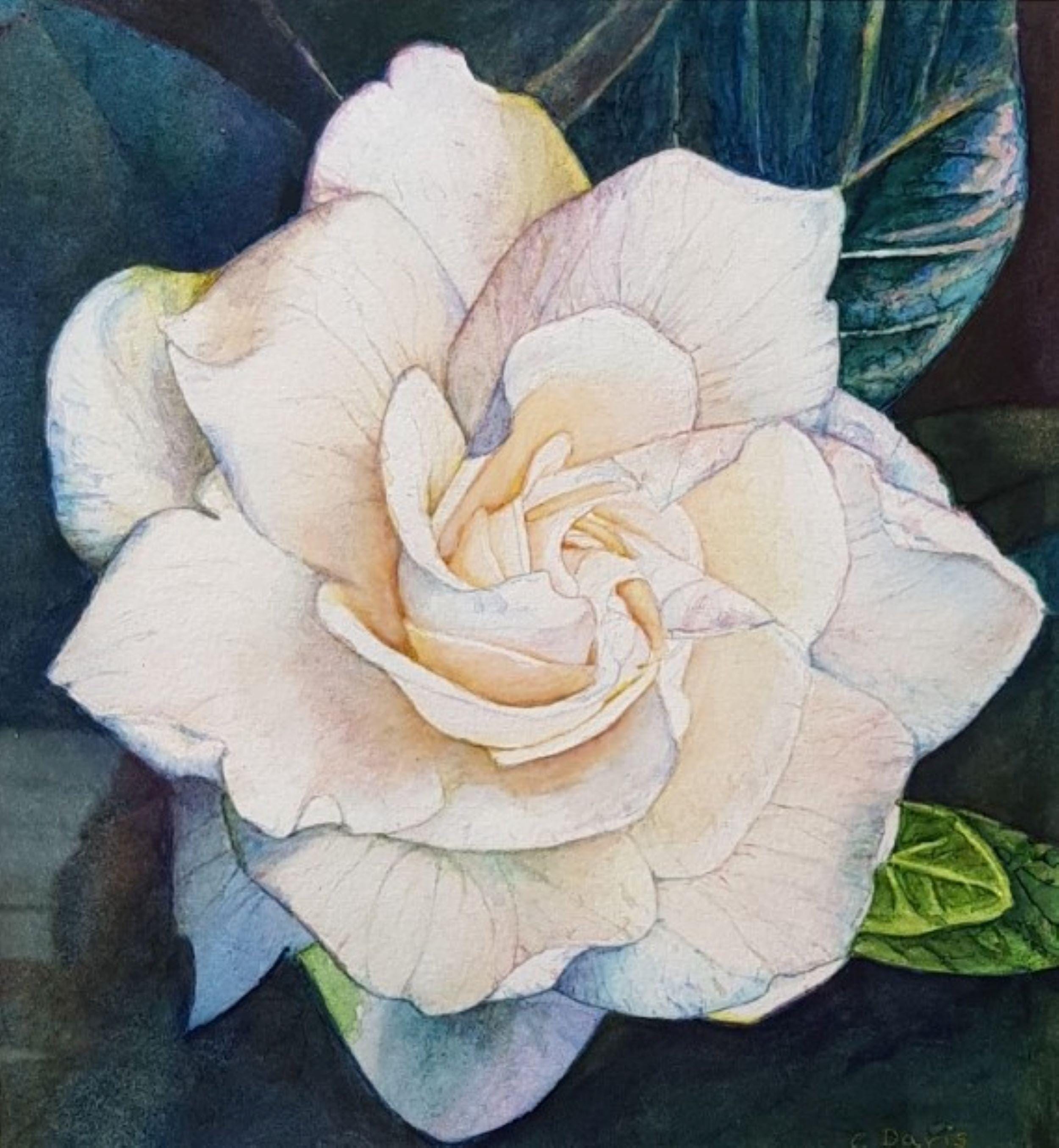 クチナシの花の水彩画 水彩画 花瓶と花 クチナシの実 - Etsy 日本