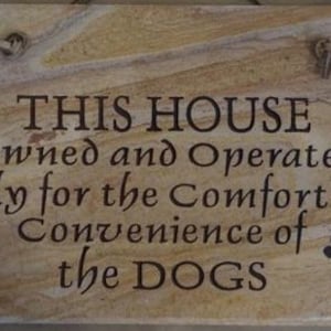 May include: A brown stone sign with the text "THIS HOUSE Owned and Operated Solely for the Comfort and Convenience of the DOGS" and paw prints.