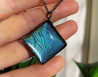 Äkta fjärilsmorphohänge, blå morphosmycken, vinghalsband, natursmycken, unika smycken, mors dag-present, halsband med färgat glas
