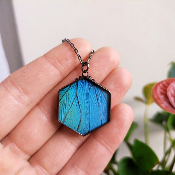 Blue butterfly Morpho hexagon necklace, Real butterfly jewelry Insect pendant, Wings jewelry Stained glass necklace, Original jewelry