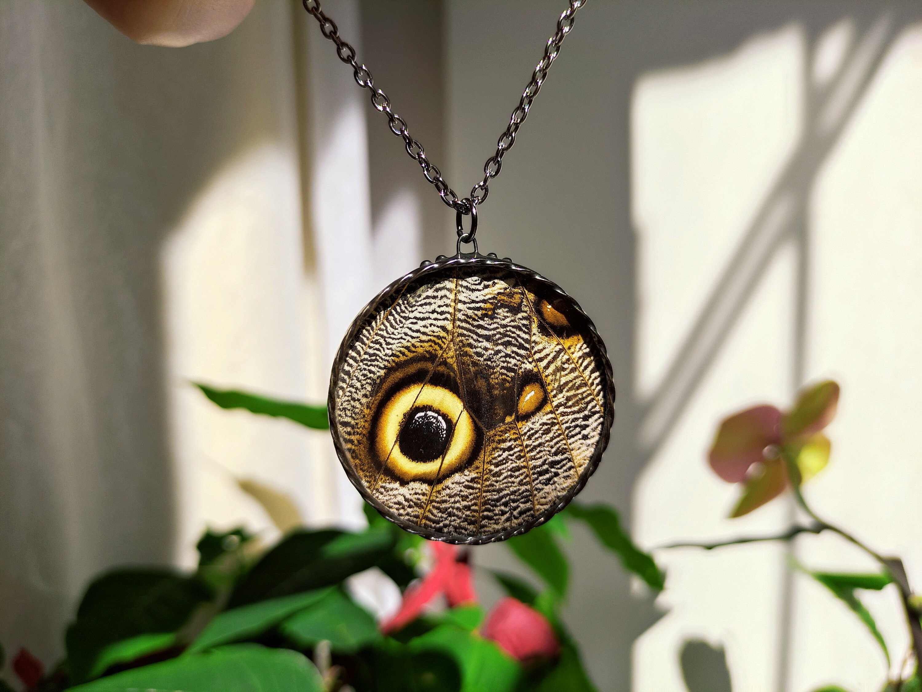 Butterfly Caligo necklace Owl Eyes Real Butterfly jewelry, Stained glass terrarium pendant, Wing nec