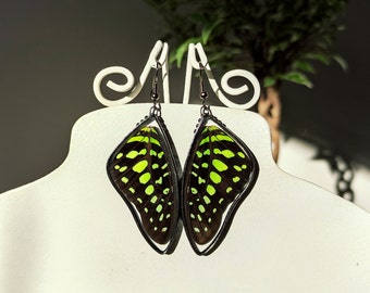 Real butterfly wing earrings, Graphium Agamemnon butterfly, Stained glass earrings Green black butterfly,Insect earrings Unique jewelry gift