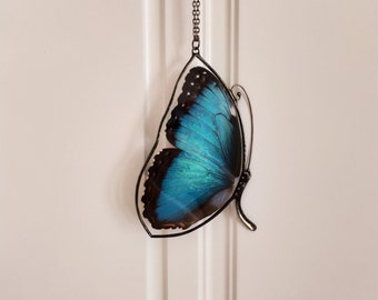 Real Butterfly Morpho Necklace