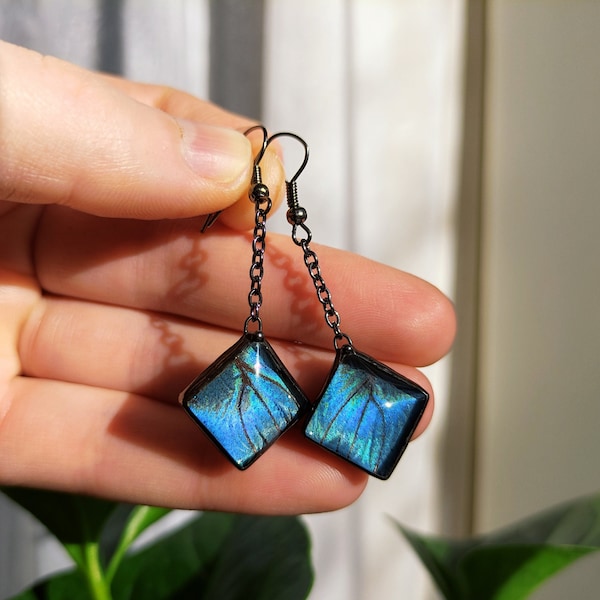 Blue Morpho diamond earrings, Stained glass earrings Real butterfly jewelry, Earrings on chain Gift myself, Shape elegant earrings