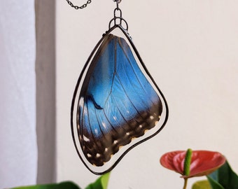Blue morpho butterfly necklace, Unique gifts for mother, Real Morpho wing Iridescent blue necklace, Real butterfly pendant  Sparkle necklace