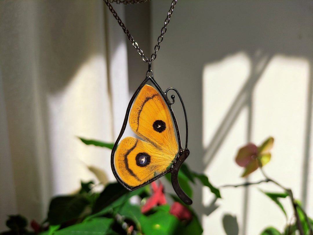 Real Butterfly Necklace, Preserved Butterfly Jewelry Unique Jewelry