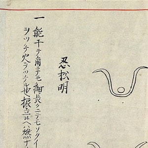 Digitaler Download - Meiji Ära (1868-1912) Hara Ryu Makimono Bujinkan Ninjutsu Kampfkunst Koryu Kampfsport Torinawa