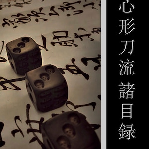 Shingyoto Ryu Mokuroku Scroll Vertaling Bujinkan Ninjutsu Martial Art Densho Japan Bujutsu Budo Koryu