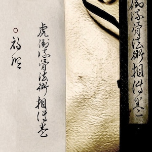 Digitale download - Koto Ryu Koppojutsu Soden maki 虎倒流骨法術相伝巻