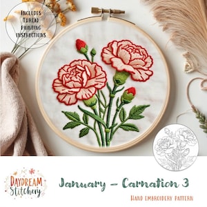 Puede incluir: Un bastidor de bordado con un diseño de clavel. El patrón floral incluye flores rojas y rosas, hojas verdes y capullos rojos. El texto "January - Carnation 3" y "Hand Embroidery Pattern" son visibles. El bastidor también incluye instrucciones de pintura con hilo.