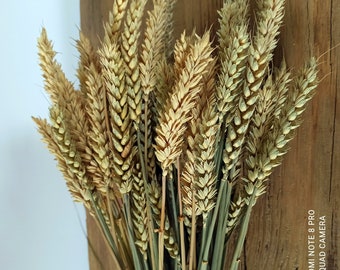 dried wheat bouquet natural dried wheat  bunch arrangement wedding decor rustic home decor grains bundle