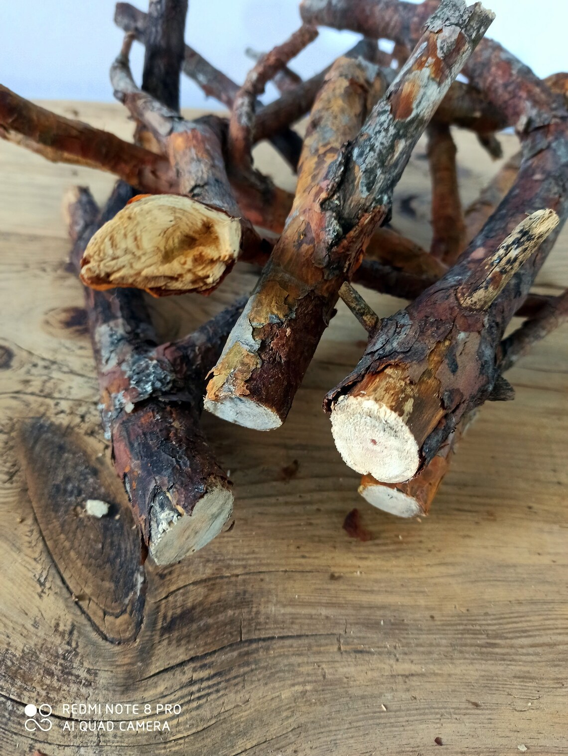 5 pieces.Natural dried pine tree branches Primitive forest Etsy