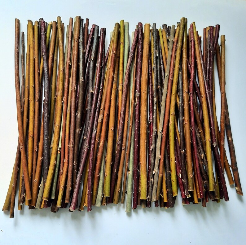 Cut Twigs for Craft Tree Branches Twigs Set of 80 Cut Twigs Etsy