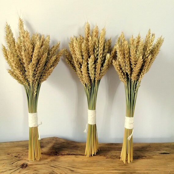 Rye Stalks Rye Bundle Rye Shocks Dried Rye Decor Natural Etsy