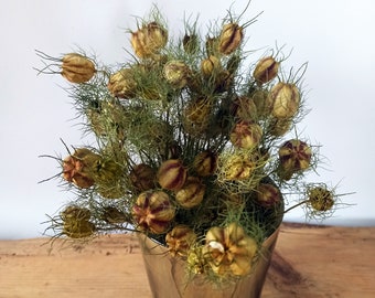 Nigella verde seca natural: arreglo floral ecológico