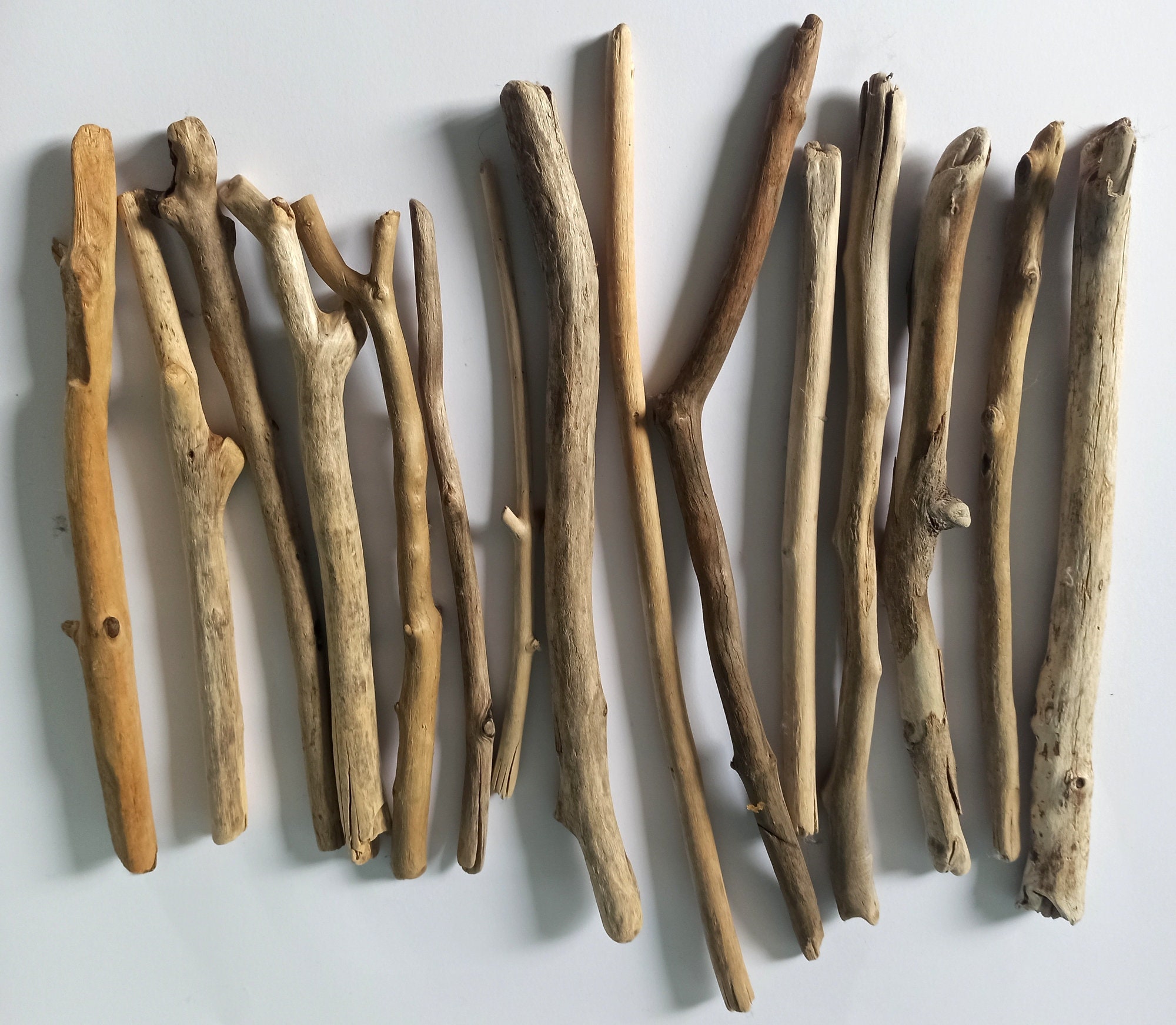 Baltic sea driftwood 15 pieces Assorted size pieces