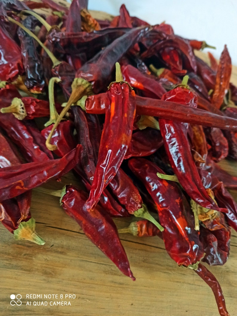 Getrocknete echte Chili Paprika 50 Stück natürlich getrocknete | Etsy