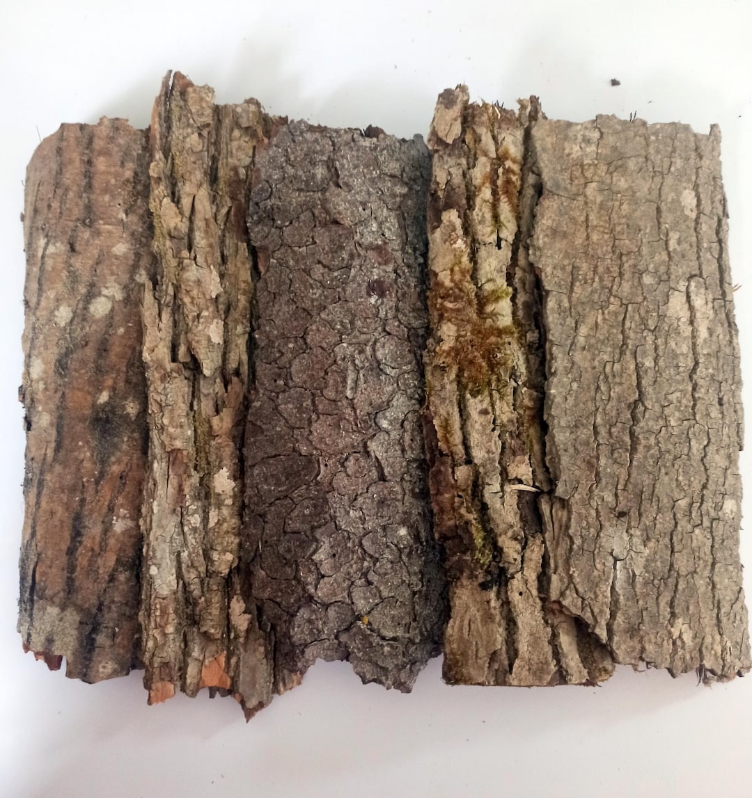 Natural Tree Bark Pieces (set of 5), Rustic Woodland Decor - Etsy