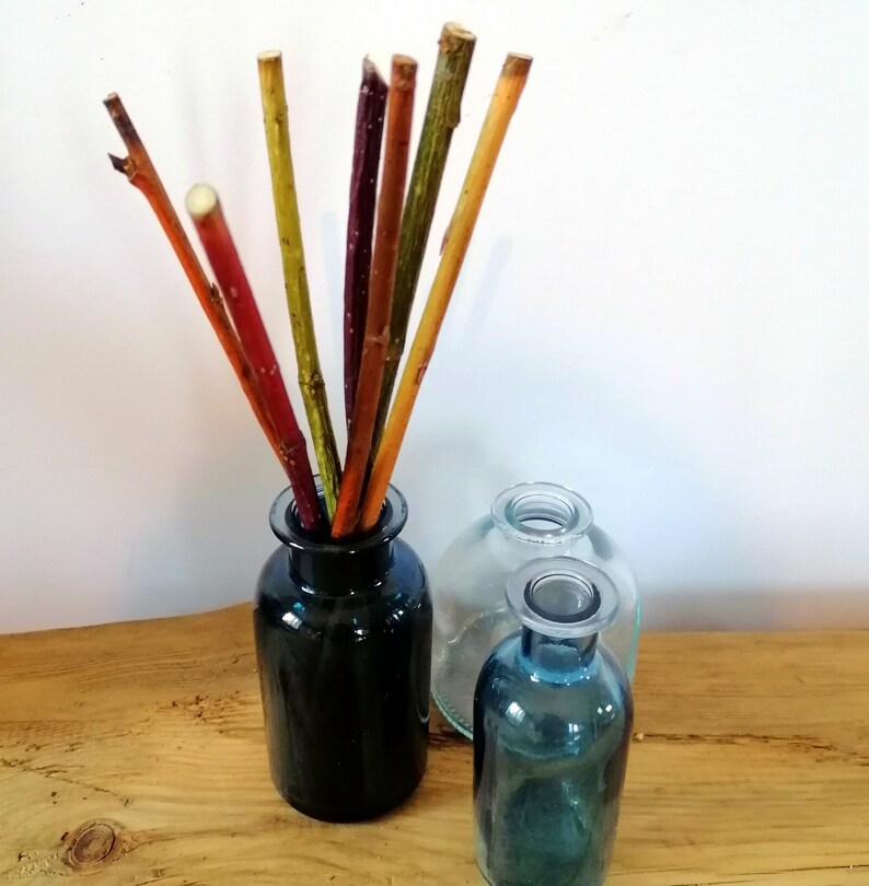 Cut Twigs for Craft Tree Branches Twigs Set of 80 Cut Twigs Etsy