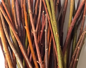 Cut Twigs for craft Tree branches Twigs Set of 80 cut twigs Natural rustic supplies Woodland decor