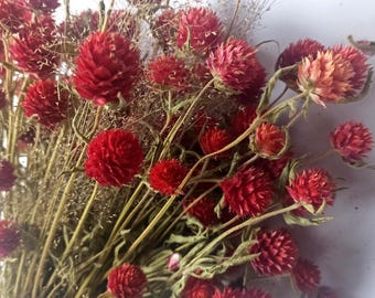 Gomphrena dried flowers bouquet, Preserved flower for decoration, dried gomphrena, home decor
