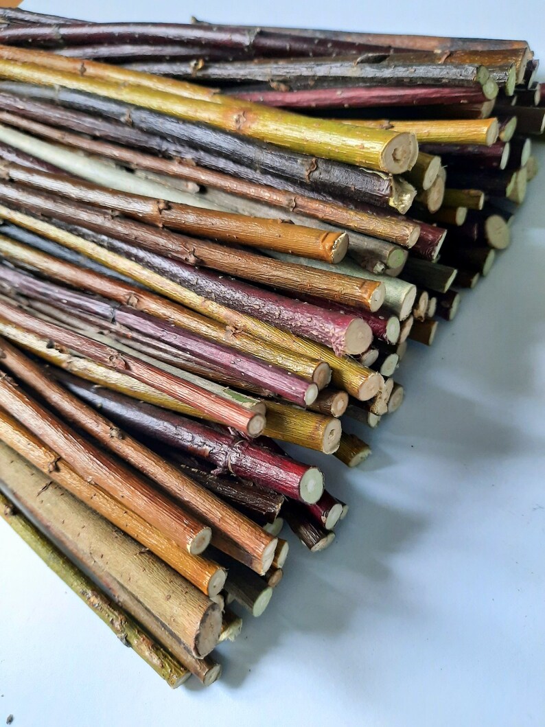 Cut Twigs for Craft Tree Branches Twigs Set of 80 Cut Twigs Etsy