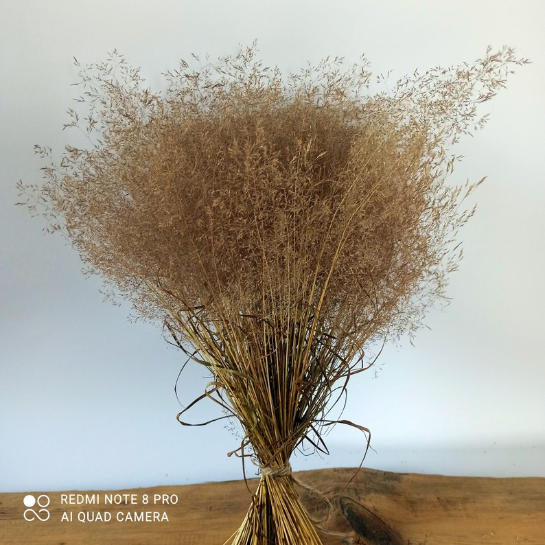 Dried Agrostis grass, dried grass, grass bunch,dried grains, wedding decor, do-it-yourself wedding, oats image 4