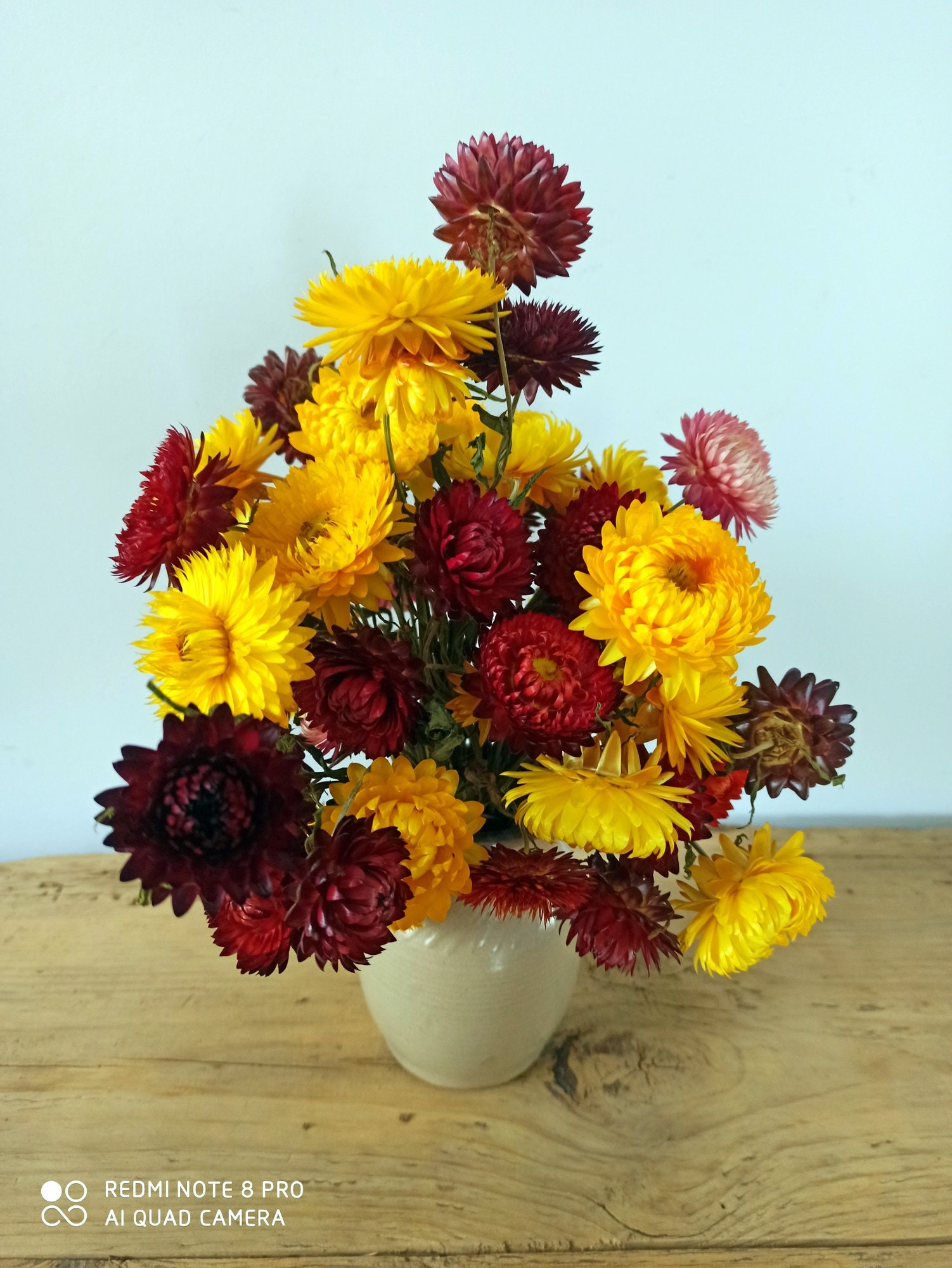 Dried Straw Flowers with Stems Straw Flowers Bouquet Dried Etsy