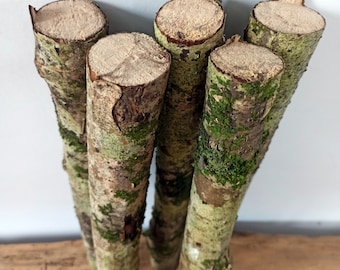 Rami con muschio verde Set di 5 rami secchi Forniture rustiche naturali