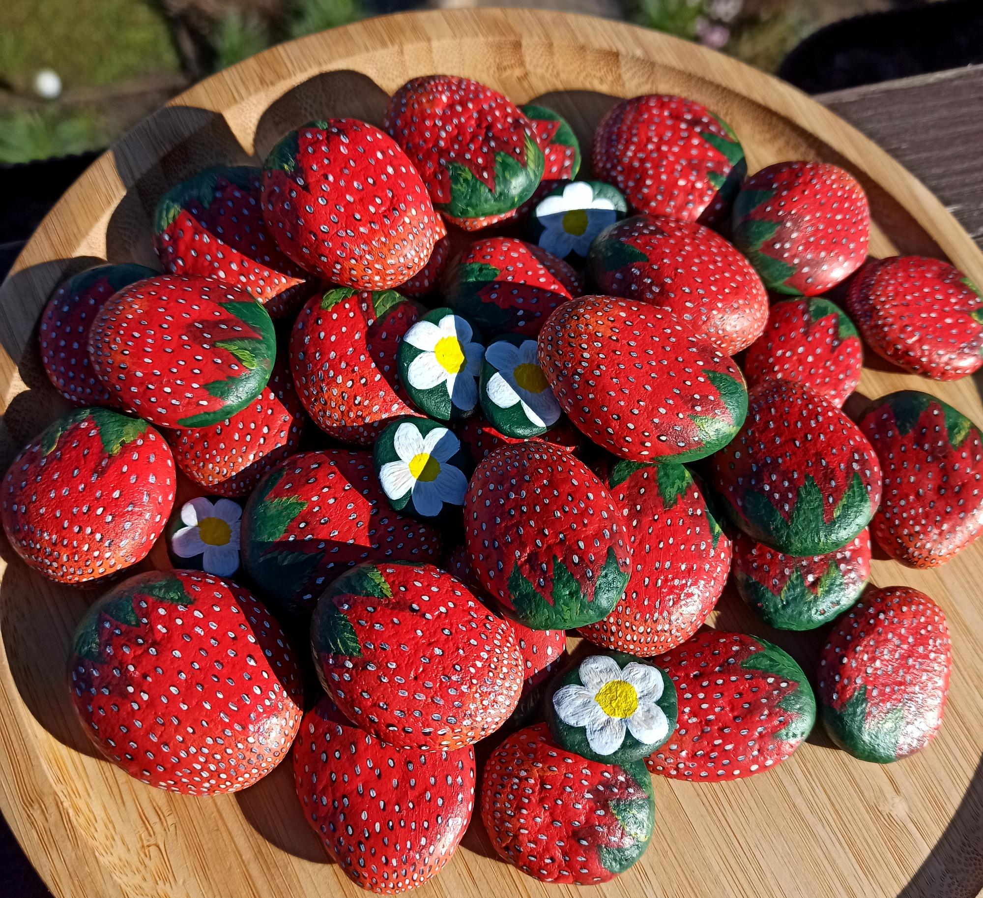 Painted Berry Rocks - Etsy
