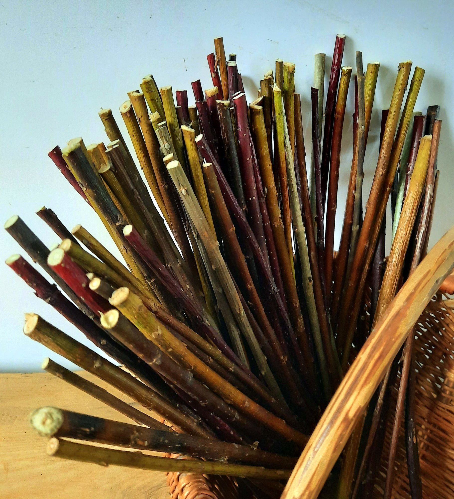 Cut Twigs for craft Tree branches Twigs Set of 80 cut twigs Etsy