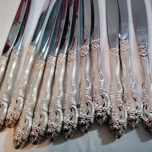 May include: A collection of silver-colored knives with ornate, detailed handles. The blades are shiny and reflect the light. The handles feature a floral design. The knives are arranged in a row, suggesting a set of silverware.