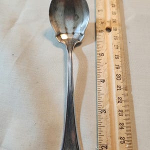 May include: A silver sugar spoon with a rounded bowl and a decorative handle. The spoon is about 6 inches long.