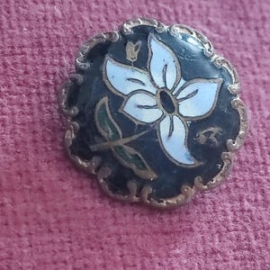 cloisonne enamel brass button