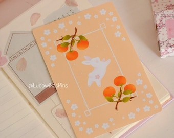 Mikan y Sakura Rabbit | Año Kawaii Bunny Naranjas