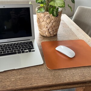 May include: A brown leather mouse pad with a white wireless mouse on a wooden desk. A laptop computer and a potted plant are also on the desk.