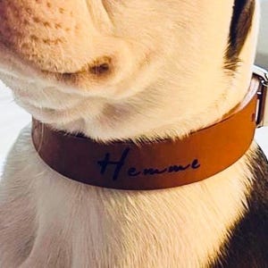 Op de afbeelding: Een bruine leren hondenriem met de naam "Hemme" in zwarte letters gegraveerd.